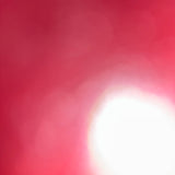 Vintage Chanel Paris Limited Double Flap Shoulder Bag