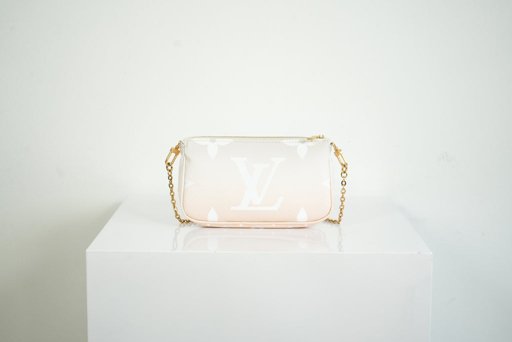 Louis Vuitton Limited Edition "By the Pool" Multi-Pochette Accessories (Full Set)
