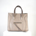 Celine Luggage Tote Python Grey