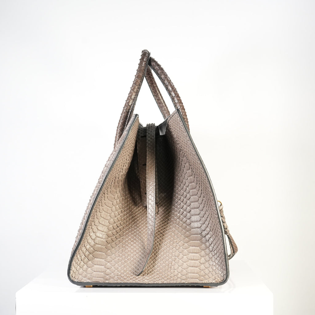 Celine Luggage Tote Python Grey