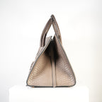 Celine Luggage Tote Python Grey
