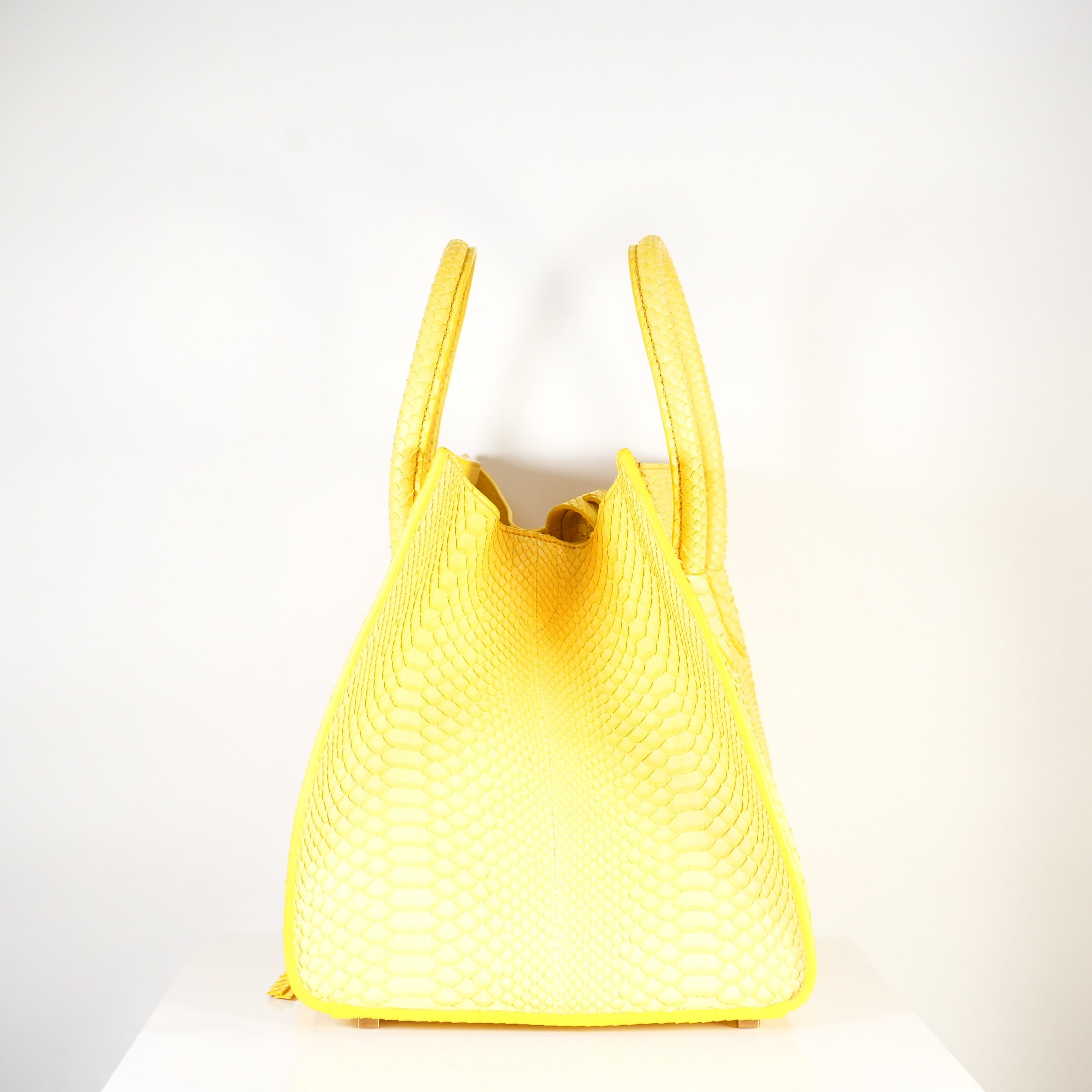 Celine Luggage Tote Python Yellow w/ dust bag