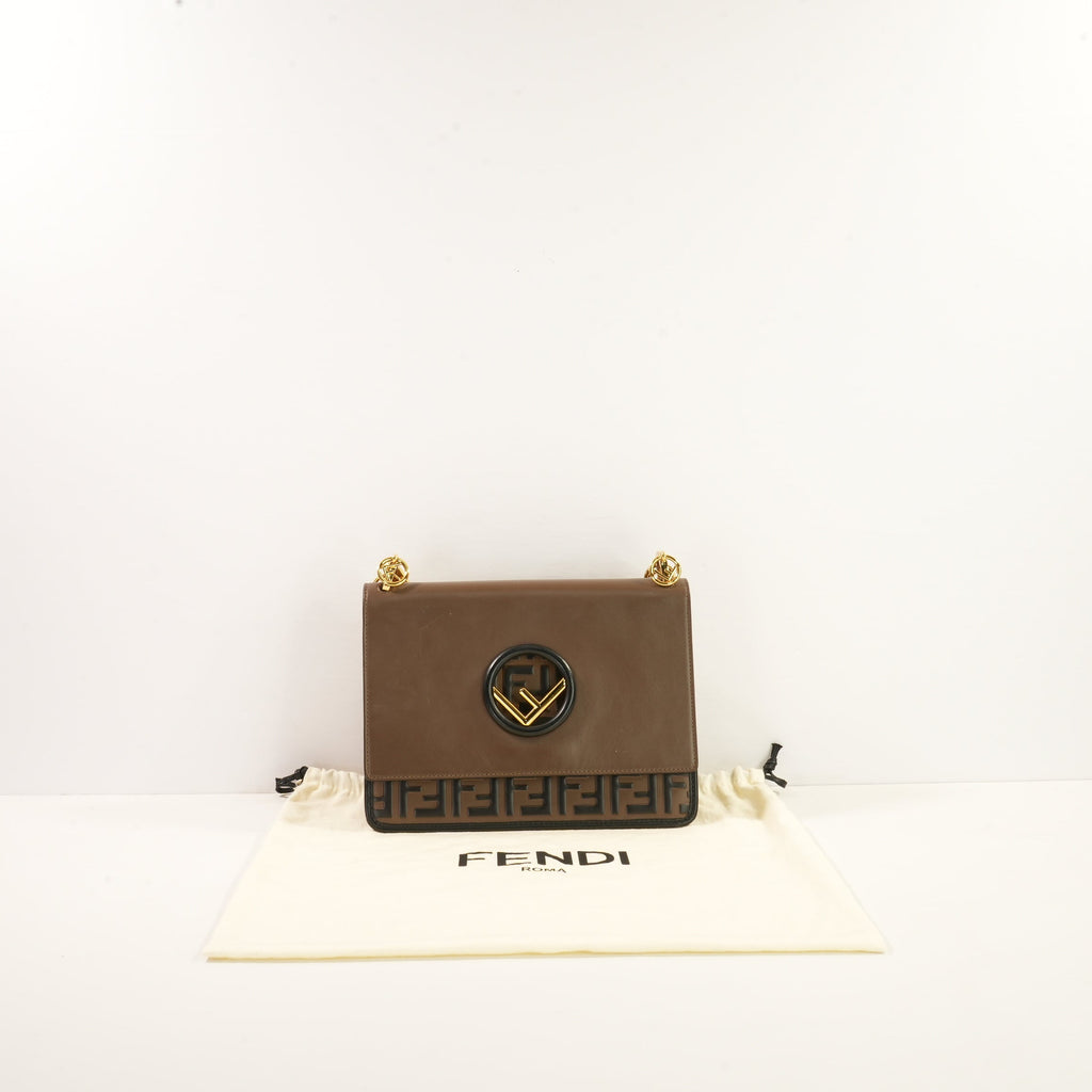 Fendi Brown and Black Zucca FF Kan I F (dust bag)