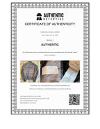 Dior Full Zip Bomber Jacket Gray