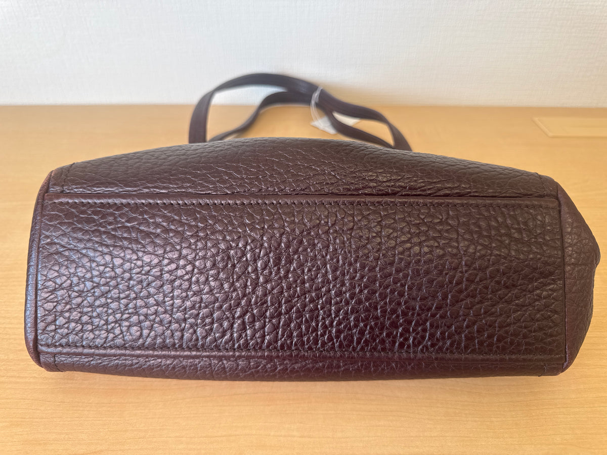 Japan Exclusive: Prada Bag  with brass hardware