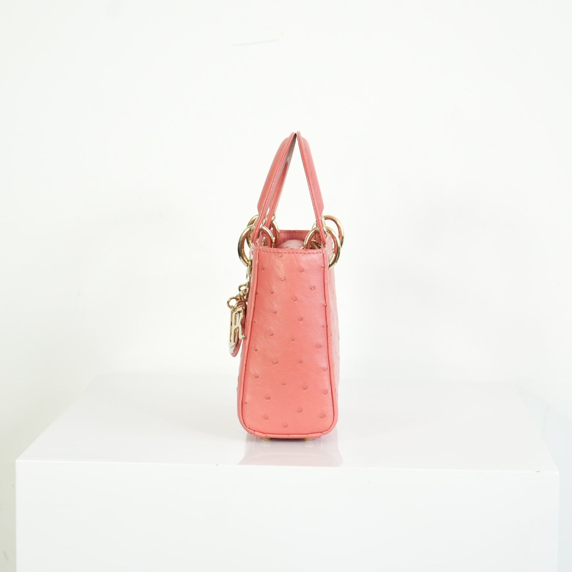 Christian Dior Ostrich Skin Lady Dior