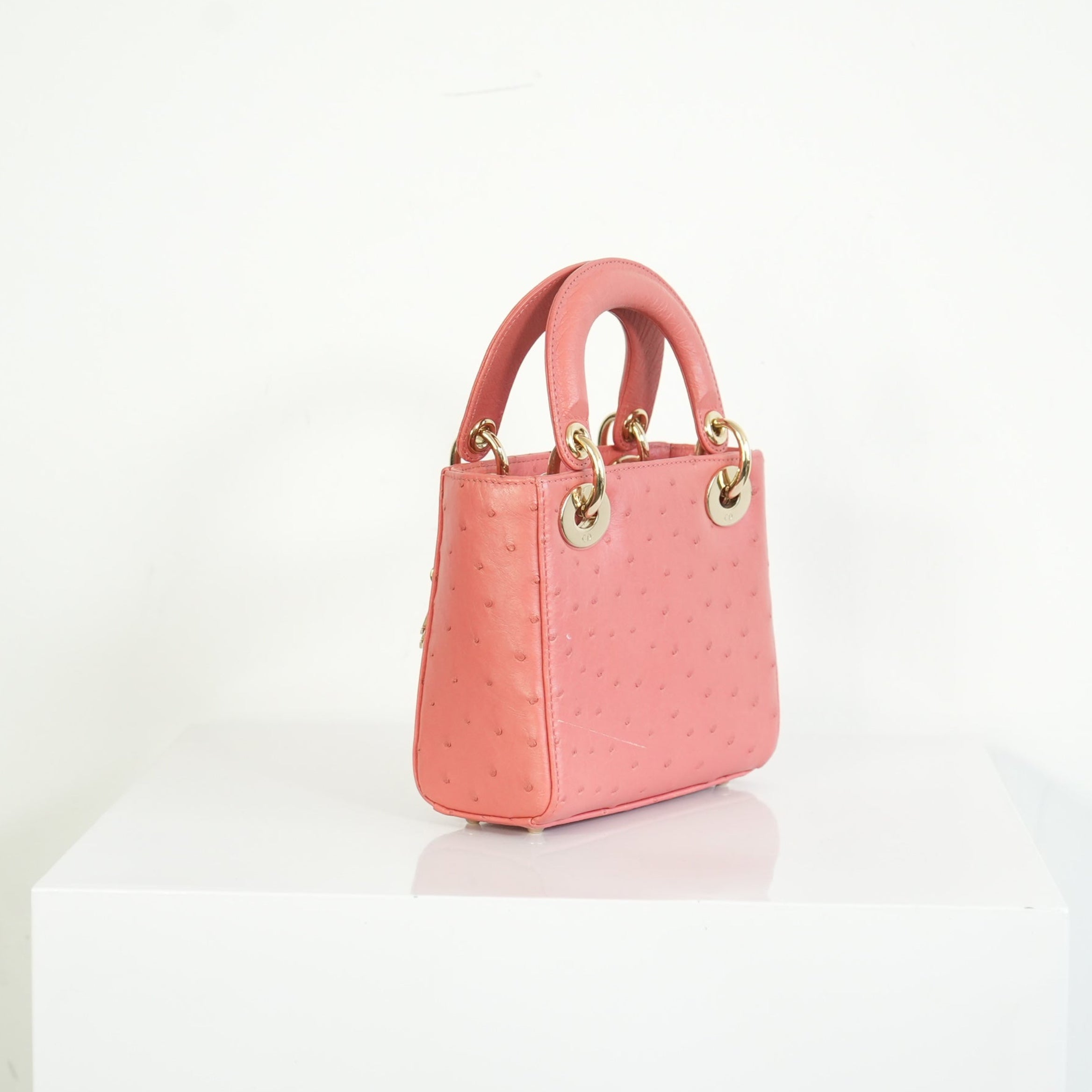Christian Dior Ostrich Skin Lady Dior