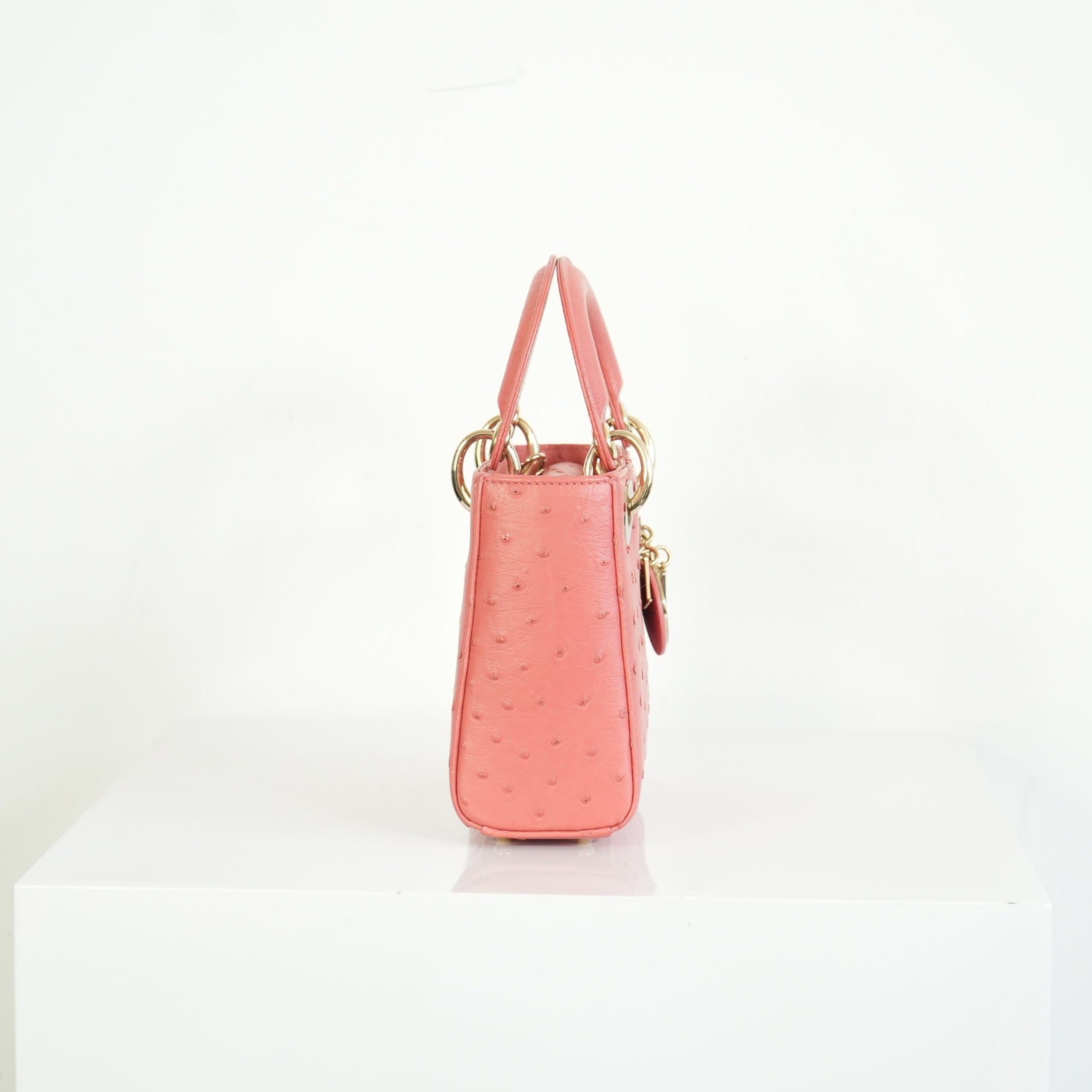 Christian Dior Ostrich Skin Lady Dior