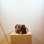 Louis Vuitton Monogram Diane Shoulder Bag