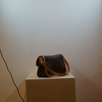 Louis Vuitton Monogram Diane Shoulder Bag