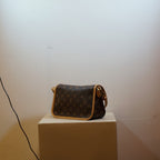 Louis Vuitton Monogram Diane Shoulder Bag