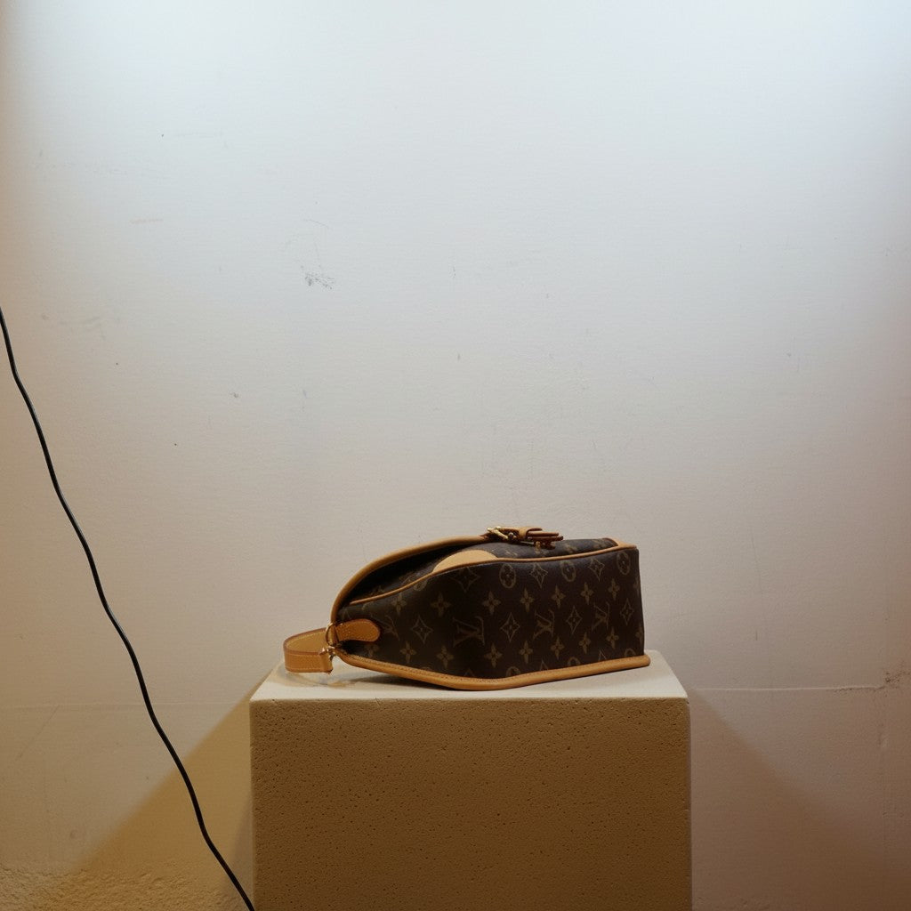 Louis Vuitton Monogram Diane Shoulder Bag