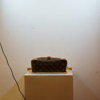 Louis Vuitton Monogram Diane Shoulder Bag