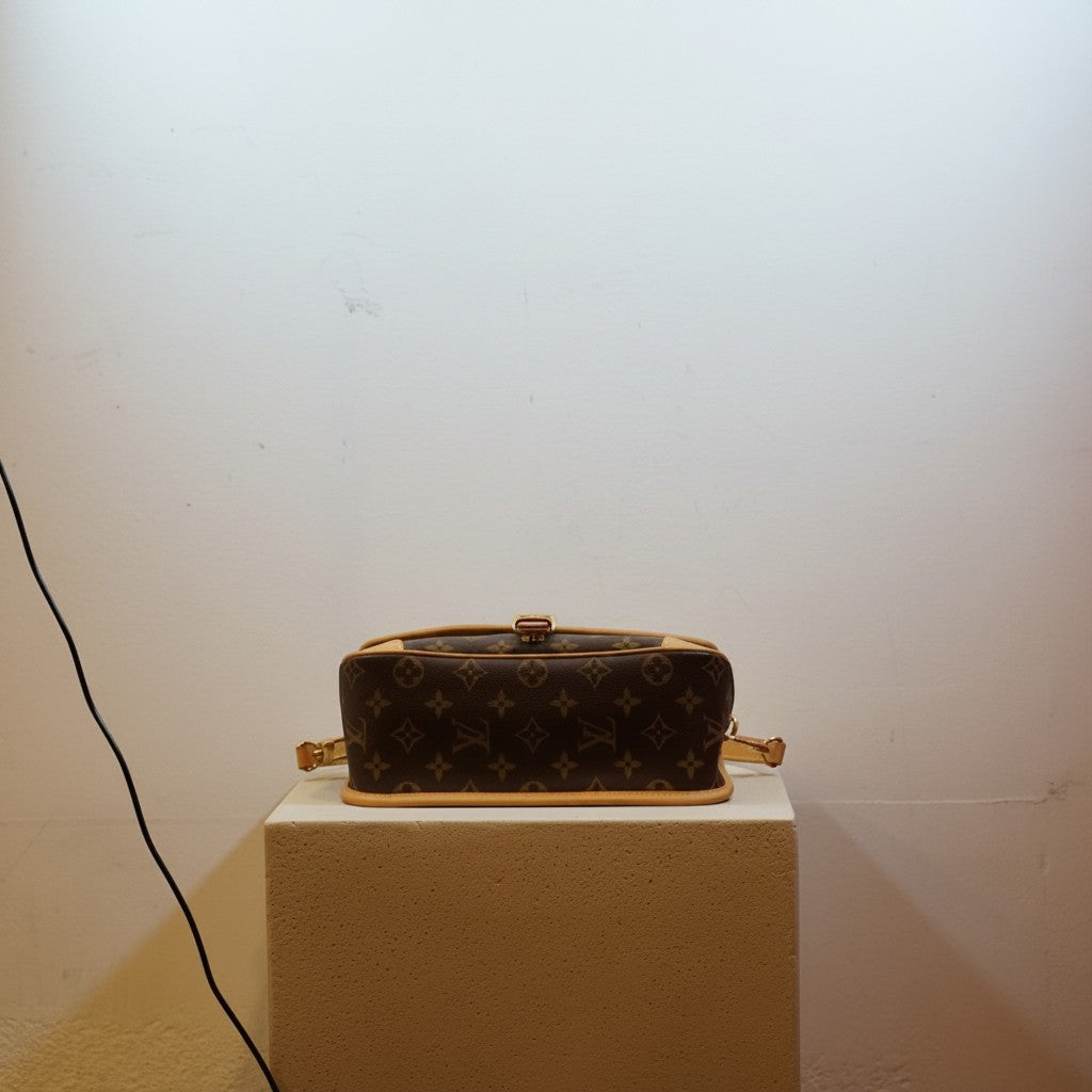 Louis Vuitton Monogram Diane Shoulder Bag