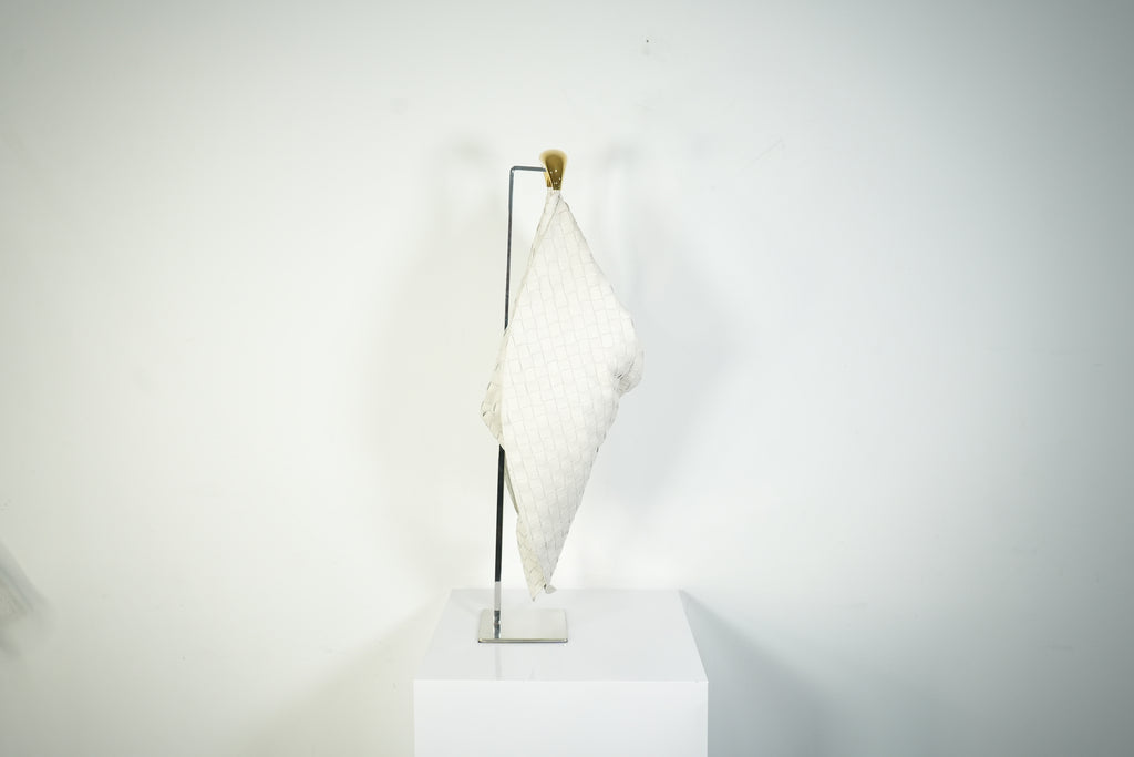 Bottega Veneta Sardine Bag Intrecciato Woven Leather White Gold Handle