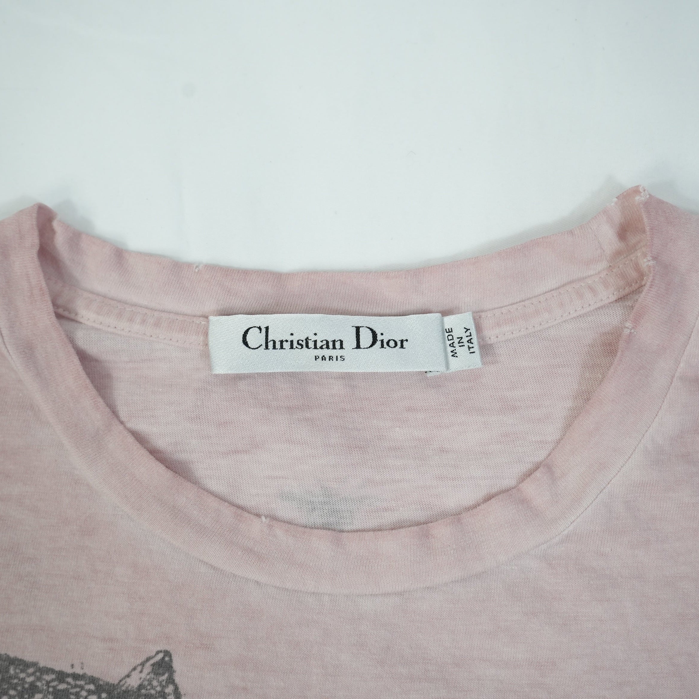 Christian Dior Animal Graphic Pink Dioriviera T-Shirt Size Large