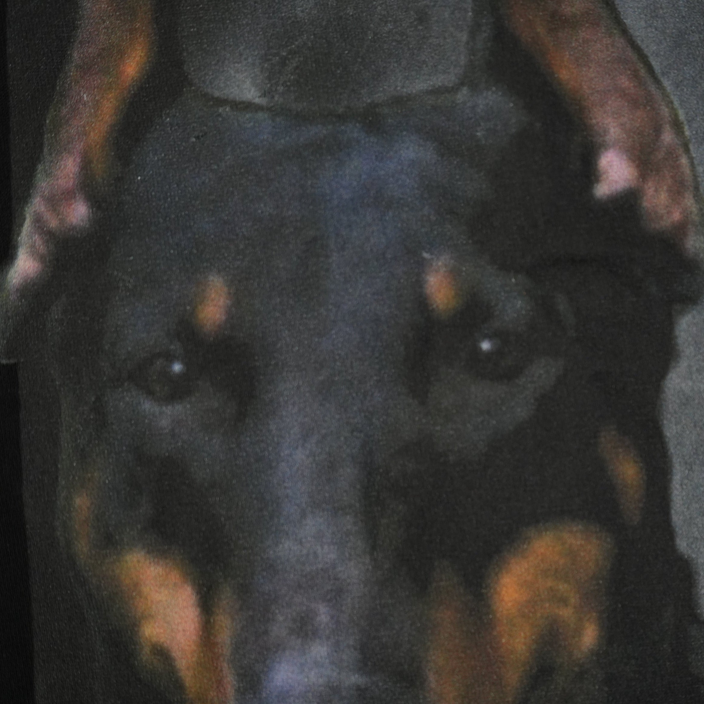 Givenchy Doberman T-shirt Size Small