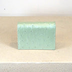 Gucci Bi-fold Marmont Mint Ostrich Leather