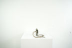 Christian Dior Saddle Oblique Jacquard Green/Gray Flap Card Holder Wallet w/ String and Dust Bag