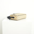 Saint Laurent Monogram All Over Camera Bag