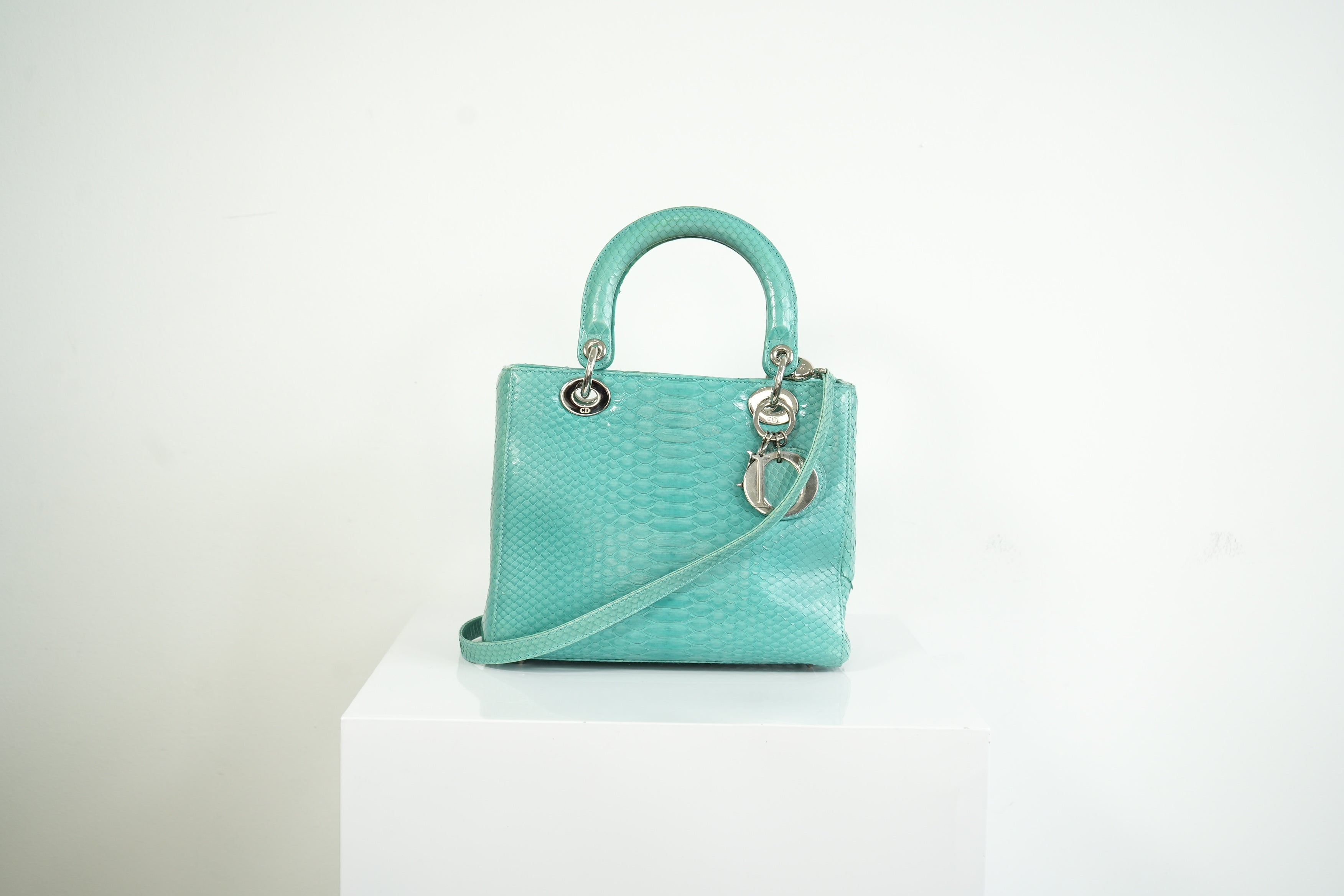 Christian Dior Blue Python Lady Dior Bag