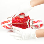 Celine Red Canvas White Leather Shoulder Bag