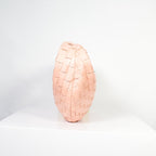 Bottega Veneta Jodie Medium in Pink/Peach Woven (dust bag)