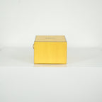 Fendi Vertical Box Bag