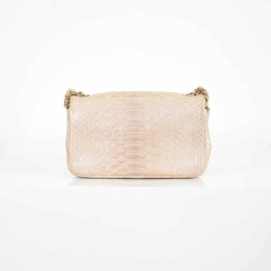 Chanel Metallic Snakeskin Medium Double Flap in Light Beige