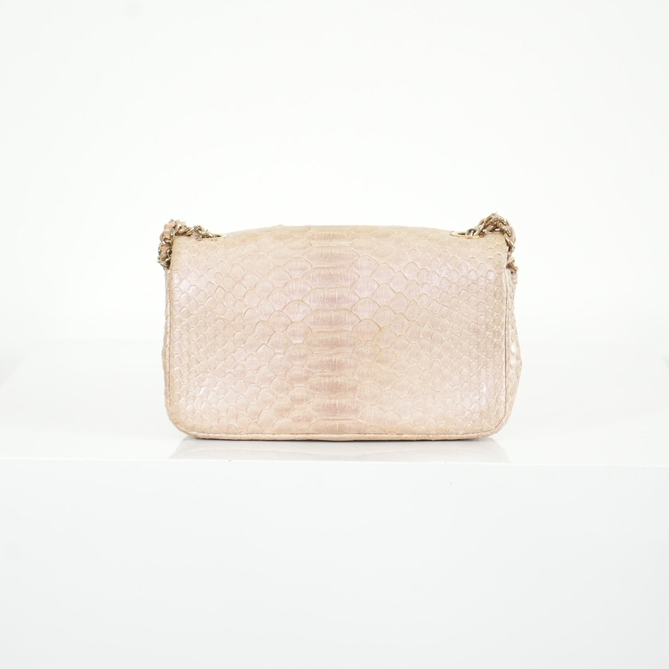 Chanel Metallic Snakeskin Medium Double Flap in Light Beige