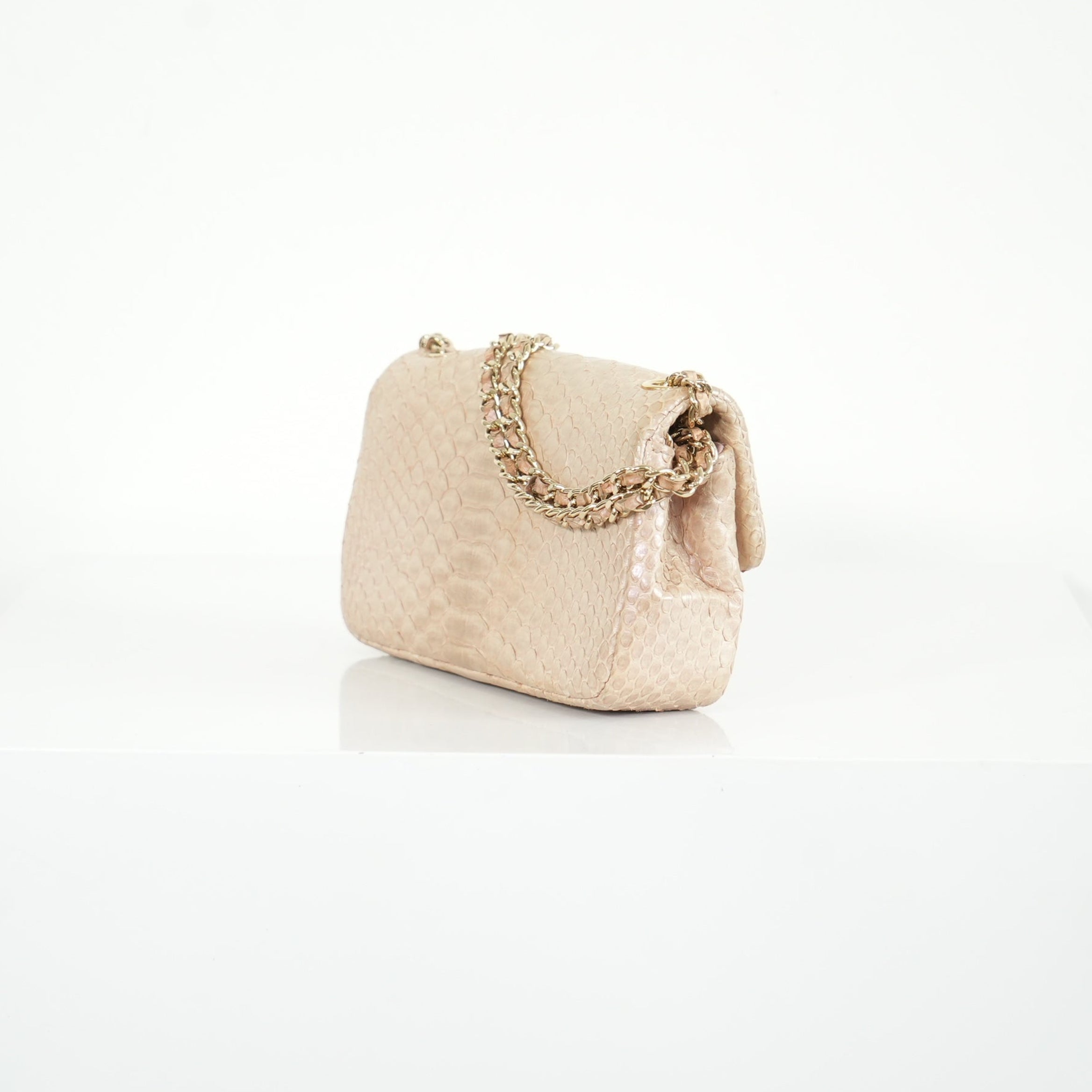 Chanel Metallic Snakeskin Medium Double Flap in Light Beige