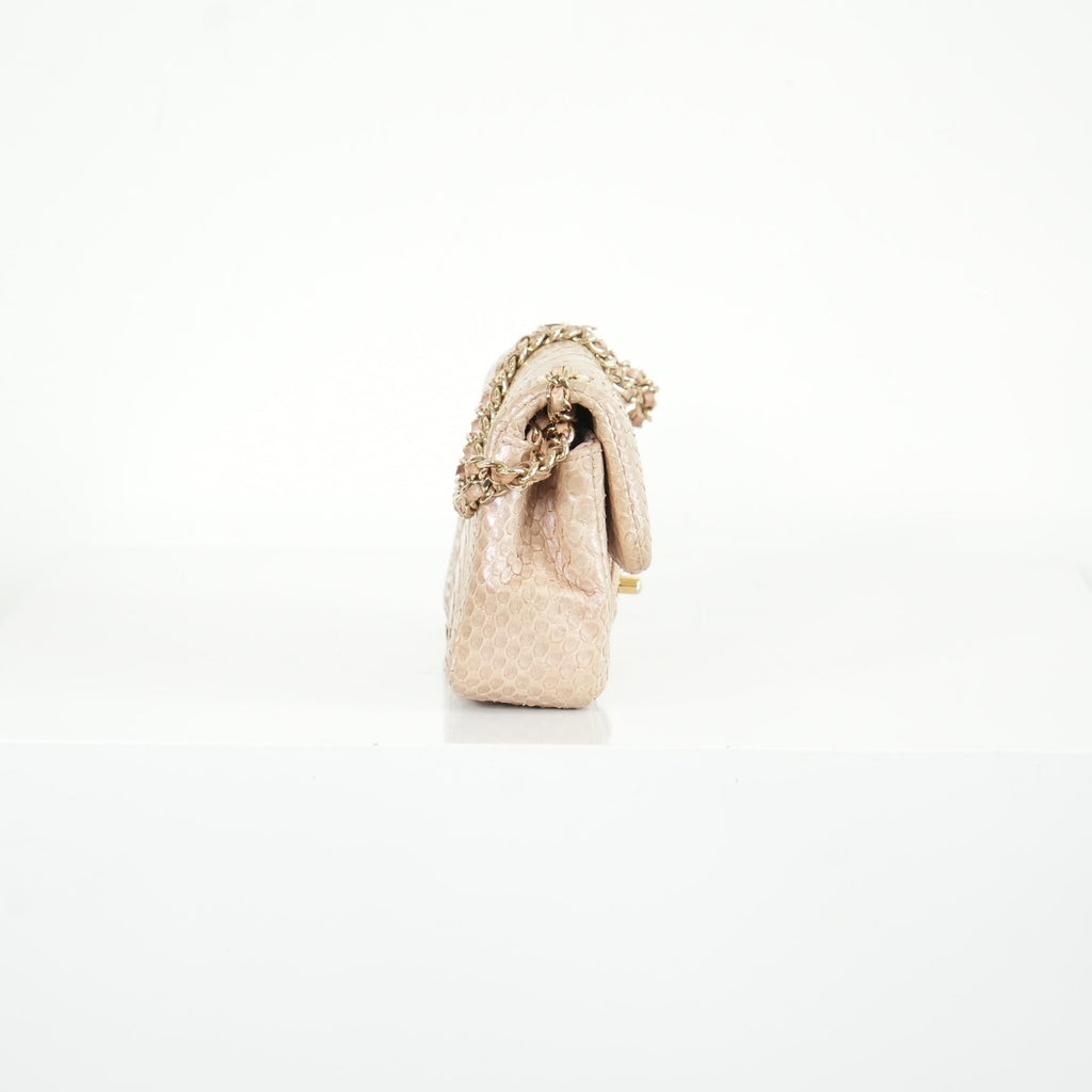 Chanel Metallic Snakeskin Medium Double Flap in Light Beige