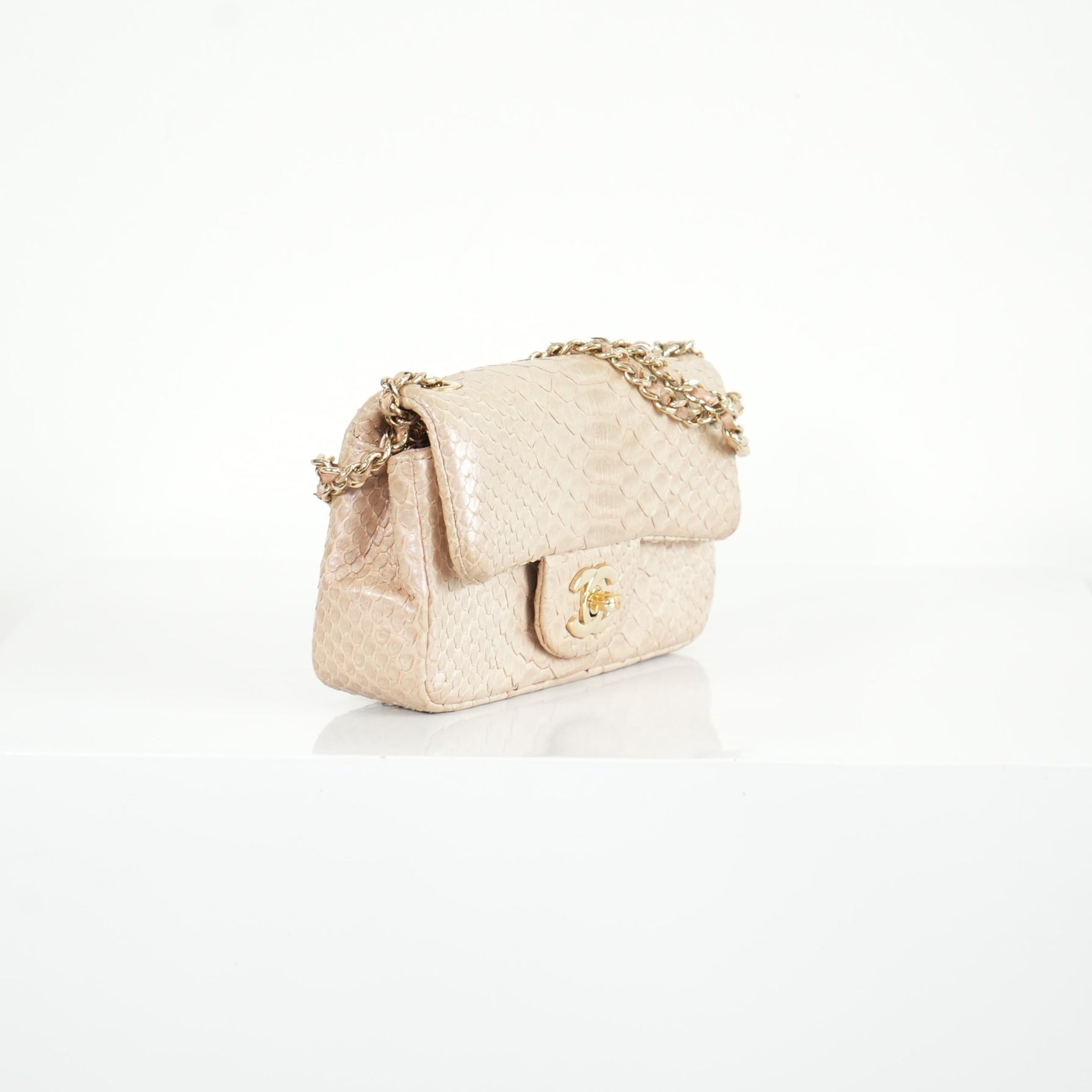 Chanel Metallic Snakeskin Medium Double Flap in Light Beige