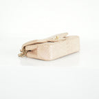 Chanel Metallic Snakeskin Medium Double Flap in Light Beige