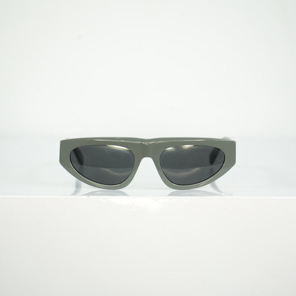 Gray Celine Sunglasses Full Set