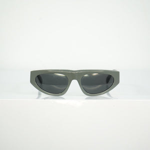 Gray Celine Sunglasses Full Set