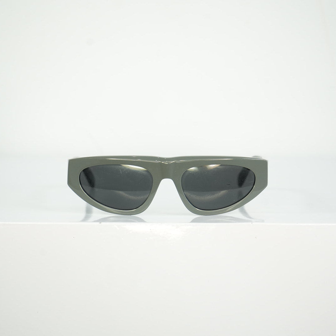 Gray Celine Sunglasses Full Set