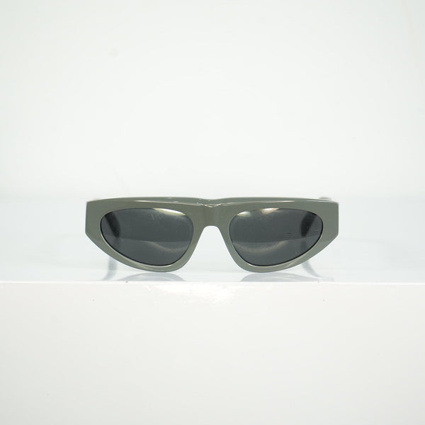 Gray Celine Sunglasses Full Set